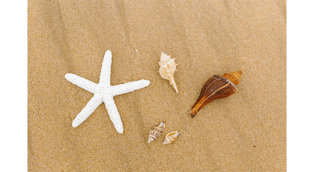 Les accessoires étoile de mer, une tendance ayant marqué